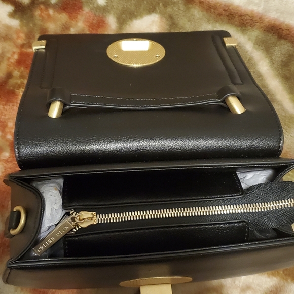 Céline Dion Bag - Picture 2 of 9